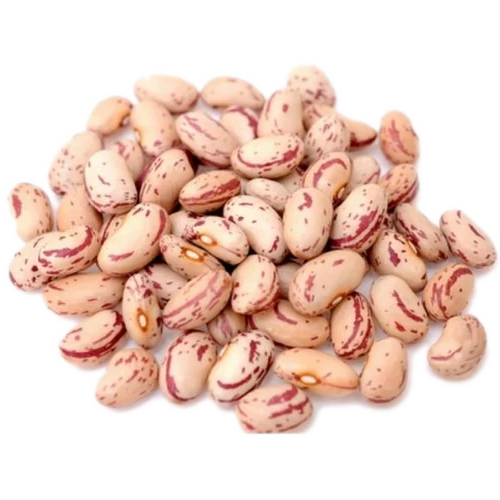 Rajma